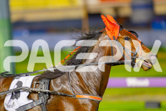 2025_PACEPIX_GP23052025_RACE10_MajesticGaGa_WIN_WEB-7