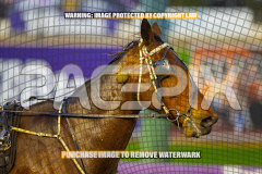 2026_PACEPIX_GP27072026_Race10_MakeItHappen_WIN_WEB-13