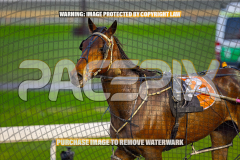 2026_PACEPIX_GP27072026_Race10_MakeItHappen_WIN_WEB-16