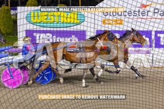 2026_PACEPIX_GP16102026_Race10_ManukaBay_WIN_WEB-11
