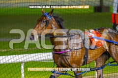 2026_PACEPIX_GP16102026_Race10_ManukaBay_WIN_WEB-13