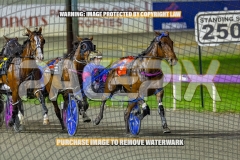 2026_PACEPIX_GP16102026_Race10_ManukaBay_WIN_WEB-2
