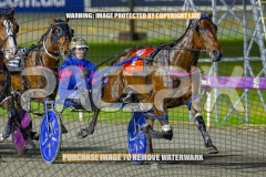 2026_PACEPIX_GP16102026_Race10_ManukaBay_WIN_WEB-3