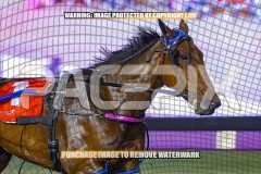 2026_PACEPIX_GP16102026_Race10_ManukaBay_WIN_WEB-5