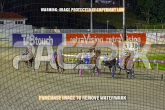 2026_PACEPIX_GP16102026_Race10_ManukaBay_WIN_WEB-6