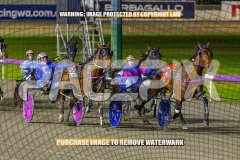2026_PACEPIX_GP16102026_Race10_ManukaBay_WIN_WEB-8