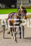 2025_PACEPIX_GP30052025_RACE10_Menemsha_WIN_WEB-19
