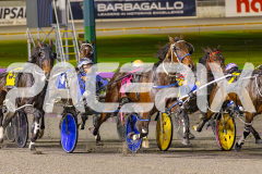 2025_PACEPIX_GP30052025_RACE10_Menemsha_WIN_WEB-5