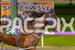 2025_PACEPIX_GP26082025_Race10_MikiMadeMonty_WIN_WEB-14