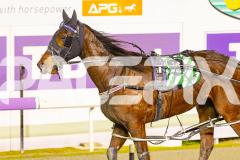 2025_PACEPIX_GP26082025_Race10_MikiMadeMonty_WIN_WEB-16