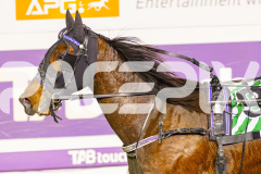 2025_PACEPIX_GP26082025_Race10_MikiMadeMonty_WIN_WEB-17