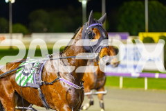 2025_PACEPIX_GP26082025_Race10_MikiMadeMonty_WIN_WEB-2