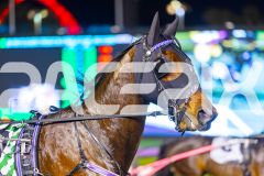 2025_PACEPIX_GP26082025_Race10_MikiMadeMonty_WIN_WEB-3