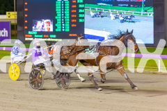2025_PACEPIX_GP26082025_Race10_MikiMadeMonty_WIN_WEB-8