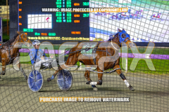 2026_PACEPIX_GP28082026_Race10_MikiWindemere_WIN_WEB-10