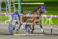 2026_PACEPIX_GP28082026_Race10_MikiWindemere_WIN_WEB-13