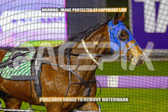 2026_PACEPIX_GP28082026_Race10_MikiWindemere_WIN_WEB-14