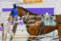 2026_PACEPIX_GP28082026_Race10_MikiWindemere_WIN_WEB-16