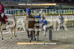 2026_PACEPIX_GP28082026_Race10_MikiWindemere_WIN_WEB-18