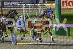 2026_PACEPIX_GP28082026_Race10_MikiWindemere_WIN_WEB-2
