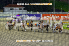 2026_PACEPIX_GP28082026_Race10_MikiWindemere_WIN_WEB-4