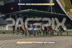 2026_PACEPIX_GP28082026_Race10_MikiWindemere_WIN_WEB-7