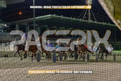 2026_PACEPIX_GP28082026_Race10_MikiWindemere_WIN_WEB-8