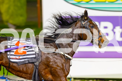 2026_PACEPIX_GP26052026_RACE10_MissTribeca_WIN_WEB-12