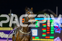2026_PACEPIX_GP26052026_RACE10_MissTribeca_WIN_WEB-17