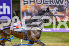 2026_PACEPIX_GP26052026_RACE10_MissTribeca_WIN_WEB-3