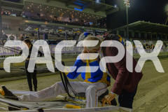 2025_PACEPIX_GP25042025_RACE10_MisterSmartee_WIN_WEB-32