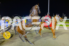 2025_PACEPIX_GP25042025_RACE10_MisterSmartee_WIN_WEB-37