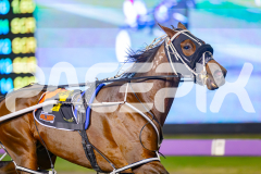 2025_PACEPIX_GP25042025_RACE10_MisterSmartee_WIN_WEB-4