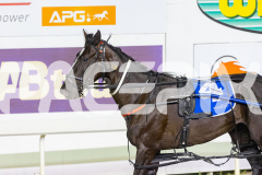 2025_PACEPIX_GP19122025_RACE10_MoreSass_WIN_WEB-15