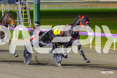 RACE 10 - Mystery Fred