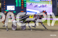 2026_PACEPIX_GP05062026_RACE10_MysteryFred_WIN_SM_WM-17