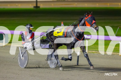 2026_PACEPIX_GP05062026_RACE10_MysteryFred_WIN_SM_WM-22