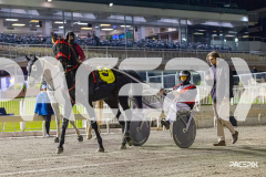 2026_PACEPIX_GP05062026_RACE10_MysteryFred_WIN_SM_WM-29