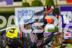 2026_PACEPIX_GP05062026_RACE10_MysteryFred_WIN_SM_WM-3