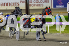 2026_PACEPIX_GP05062026_RACE10_MysteryFred_WIN_SM_WM-5