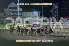 RACE 10 - Prince Of Tribeca