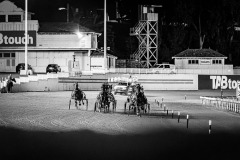 2026_PACEPIX_GP04092026_Race10_PrinceOfTribecca_WIN_WEB-1