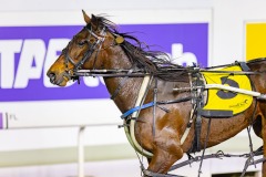 2026_PACEPIX_GP04092026_Race10_PrinceOfTribecca_WIN_WEB-17