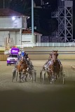 2026_PACEPIX_GP04092026_Race10_PrinceOfTribecca_WIN_WEB-6