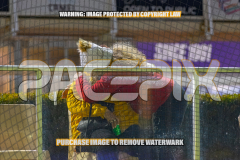 2026_PACEPIX_GP24072026_RACE10_RakeroRaider_WIN_WEB-13