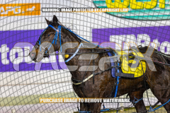 2026_PACEPIX_GP24072026_RACE10_RakeroRaider_WIN_WEB-17