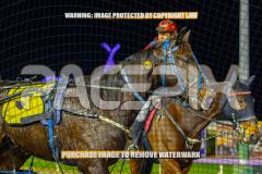2026_PACEPIX_GP24072026_RACE10_RakeroRaider_WIN_WEB-20