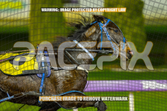 2026_PACEPIX_GP24072026_RACE10_RakeroRaider_WIN_WEB-5