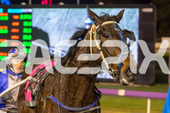 2025_PACEPIX_GP18062025_RACE10_SHES-A-TINY-DANCER_WIN_WEB-8