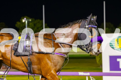 2025_PACEPIX_GP03102025_RACE10_SkyhighAdda_WIN_WEB-12